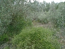 Fqyhr4AV.jpg