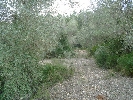PbEPB1x0.jpg